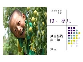 《枣儿）教学课件    凤台县钱庙中学    冯立