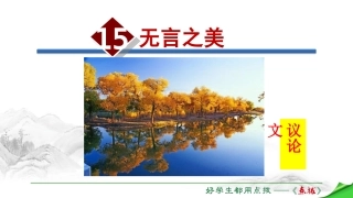 《无言之美》课件