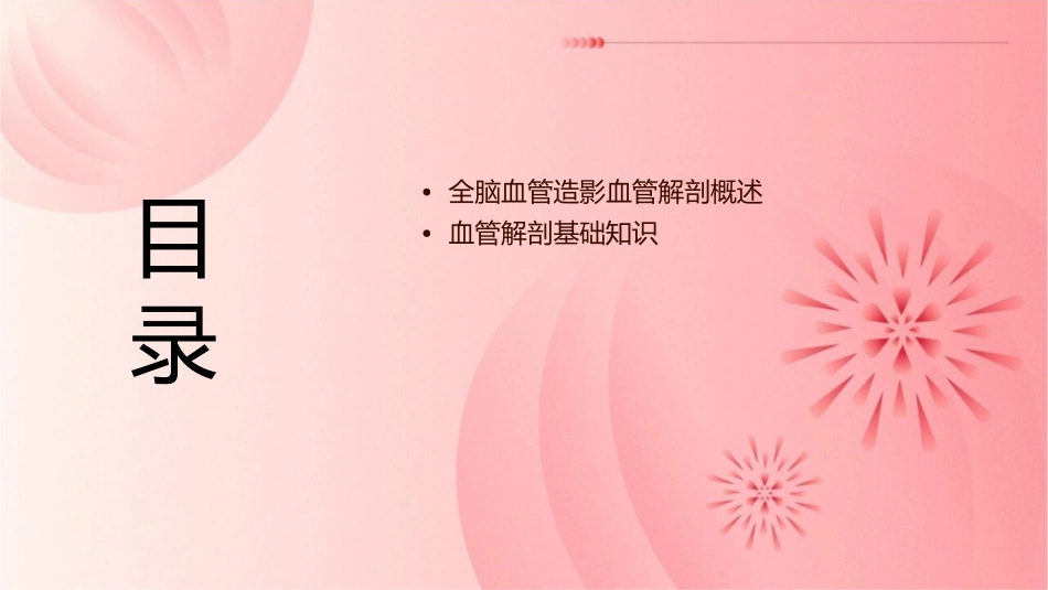 全脑血管造影血管解剖基本护理课件_第2页