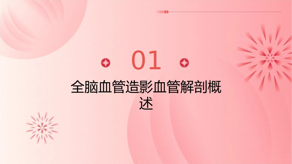 全脑血管造影血管解剖基本护理课件_第3页