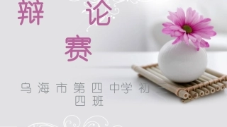 辩论赛--网络是否有真情