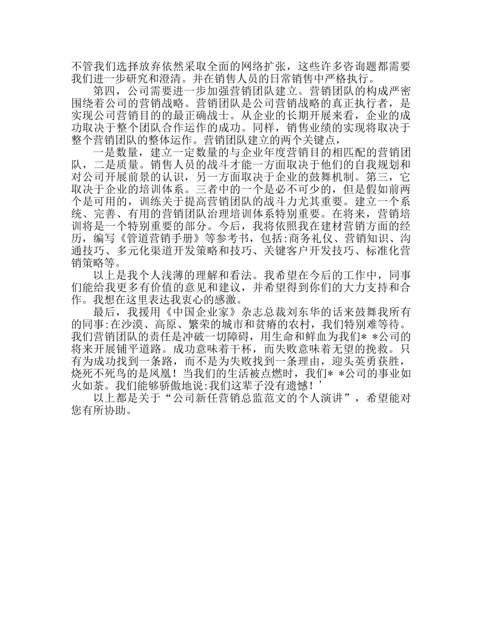 公司新任营销总监个人演讲范文参考发言稿 _第3页