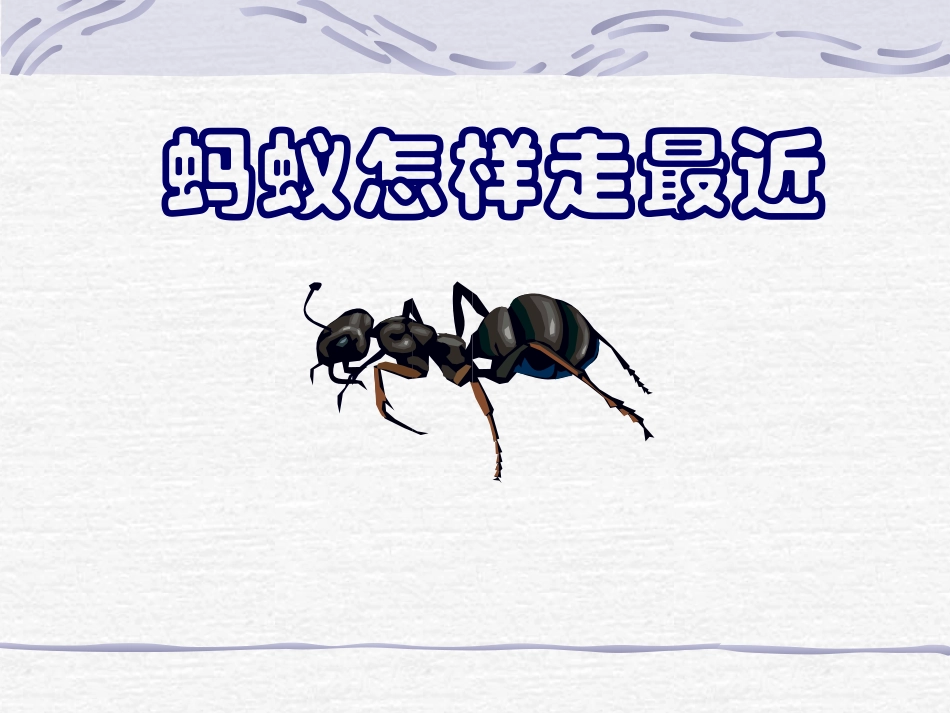 蚂蚁怎样走最近_第1页