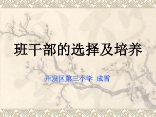 班干部的选择及培养