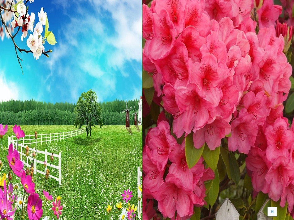 新课标人教版语文一年级上册《四季》课件_第2页