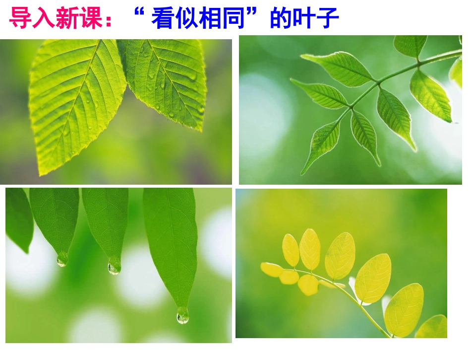 我的课件人的生命的独特性_第2页