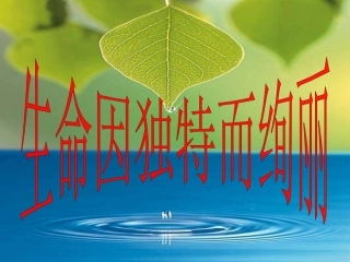 我的课件人的生命的独特性