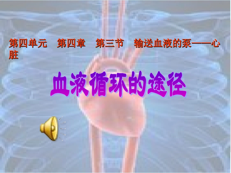 血液循环的途径_第1页