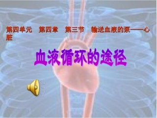 血液循环的途径