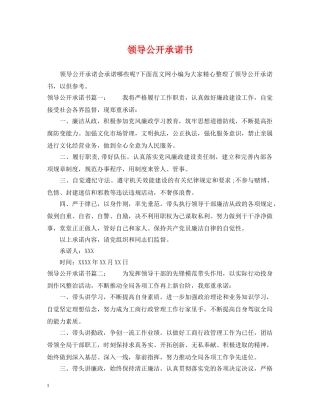 领导公开承诺书 