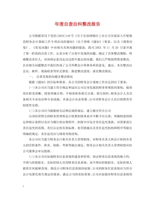 年度自查自纠整改报告 
