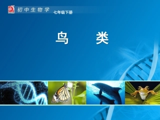 鸟类-教学课件