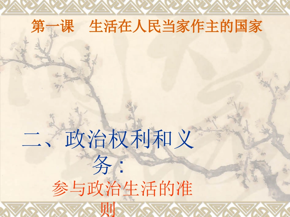 政治权利和义务参与政治生活的准则_第1页