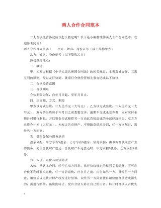 两人合作合同范本