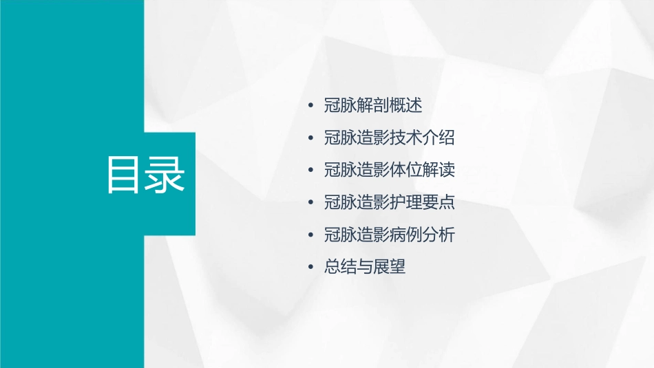 冠脉解剖简析及冠脉造影体位解读护理课件_第2页