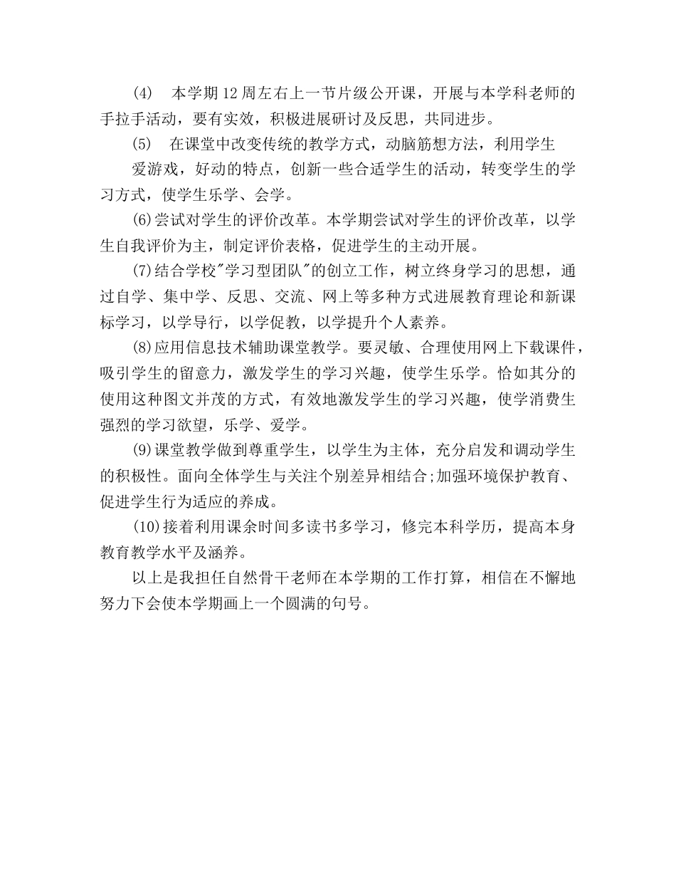 骨干教师工作参考计划范文(1) _第2页