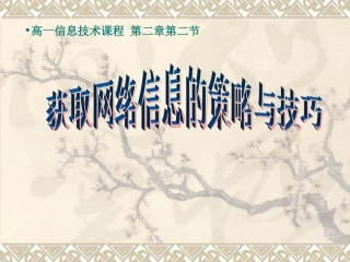 获取网络信息的策略与技巧 (2)