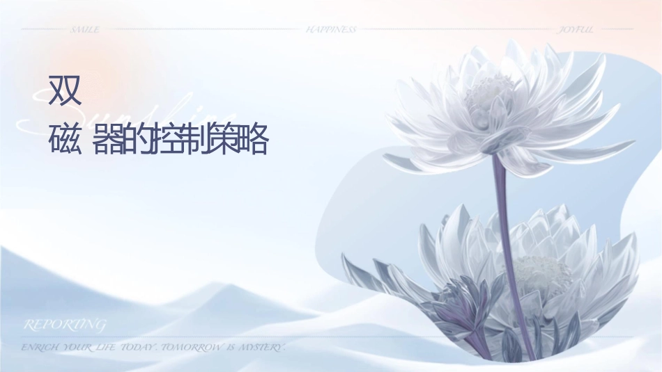 双馈风力发电系统励磁变换器的控制策略课件_第1页