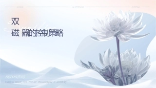 双馈风力发电系统励磁变换器的控制策略课件