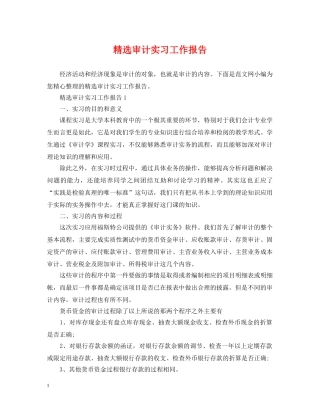 精选审计实习工作报告 