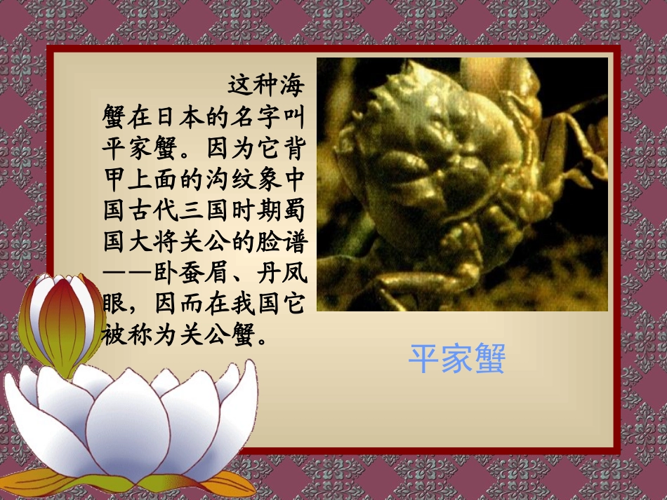 简洁语文课件PPT模板_第3页