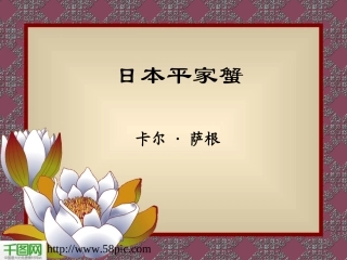 简洁语文课件PPT模板