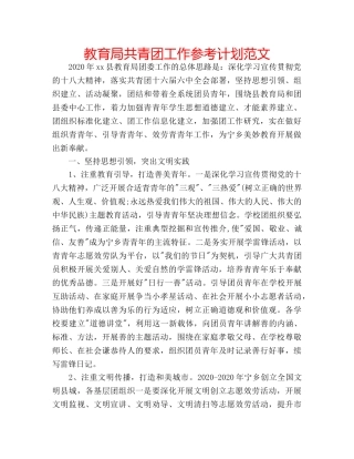 共青团工作参考计划范文 2