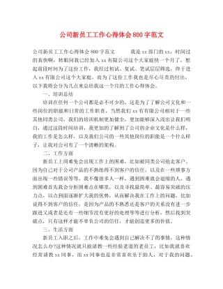 公司新员工工作心得体会800字范文 