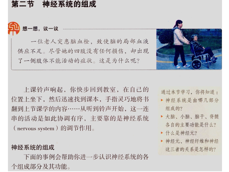 新教材-神经系统的组成(更新)-佛山谢永红_第1页