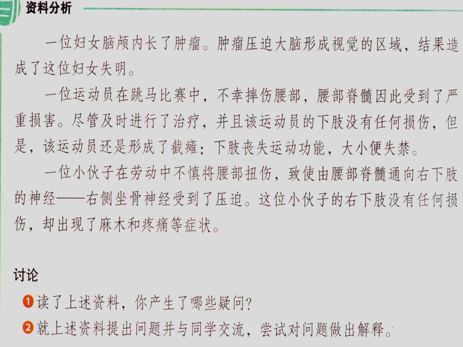 新教材-神经系统的组成(更新)-佛山谢永红_第2页