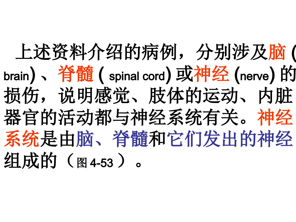 新教材-神经系统的组成(更新)-佛山谢永红_第3页