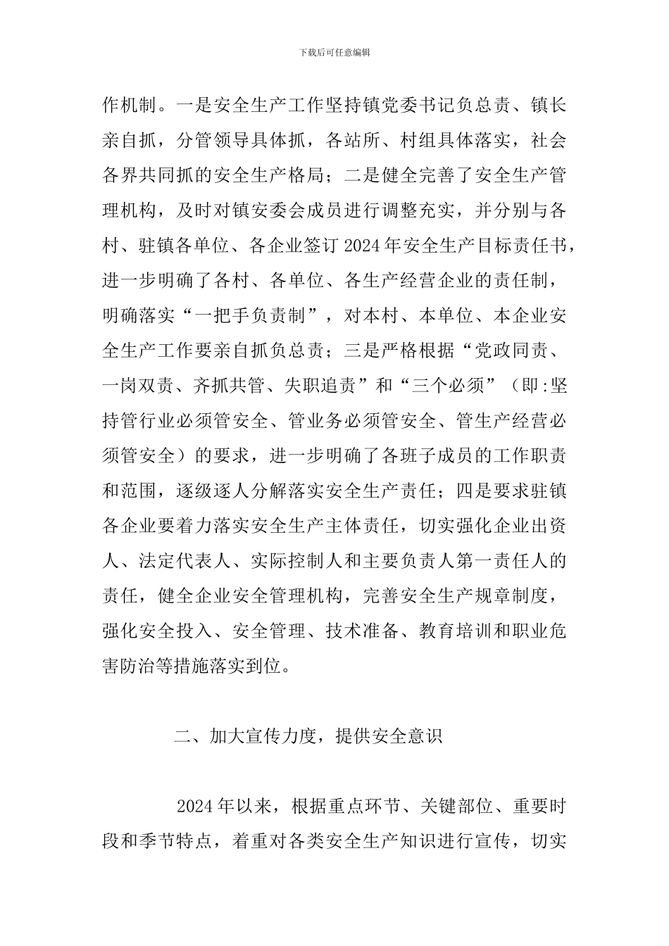 县政府安全生产工作总结_第2页