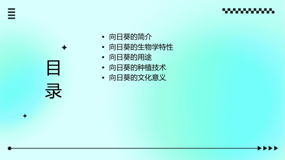 向日葵的秘密课件_第2页