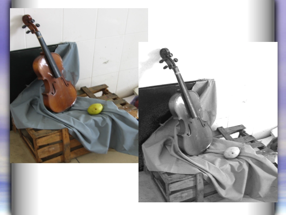 课件《黑白世界》_第3页