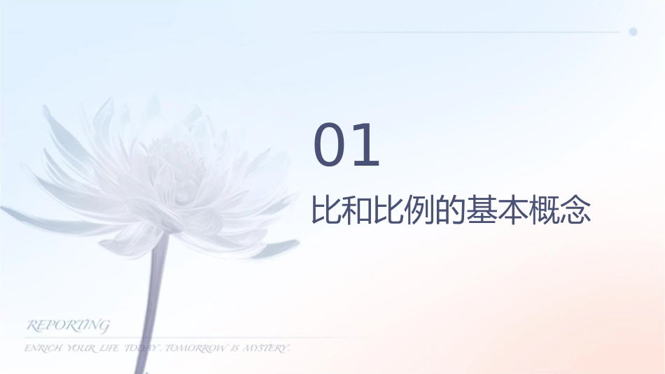 六年级总复习《比和比例》课件_第3页