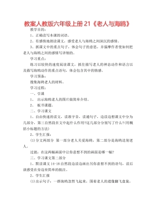 教案人教版六年级上册21《老人与海鸥》 