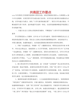 共青团工作要点 