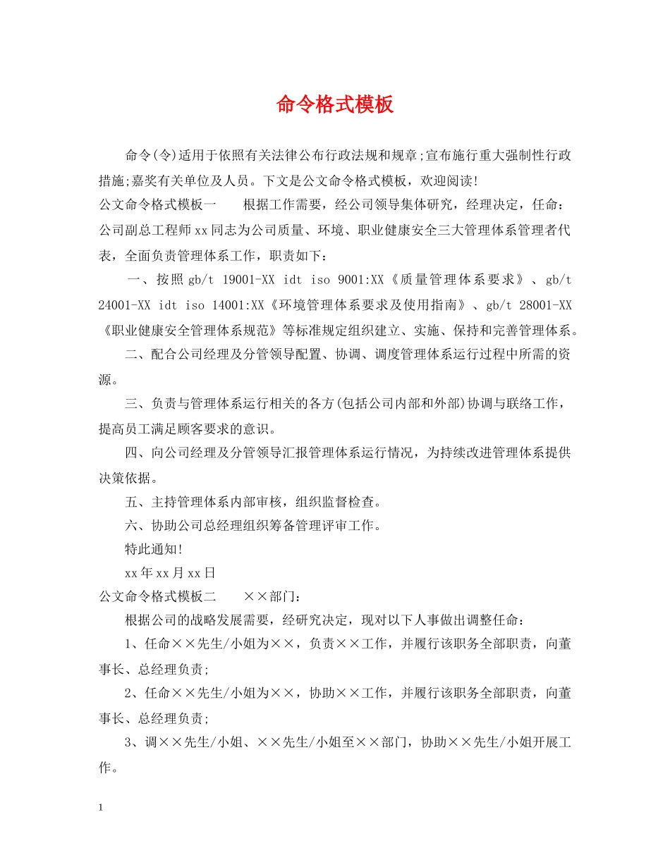 命令格式模板 _第1页