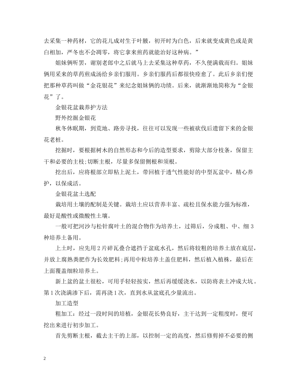 金银花的花语 _第2页