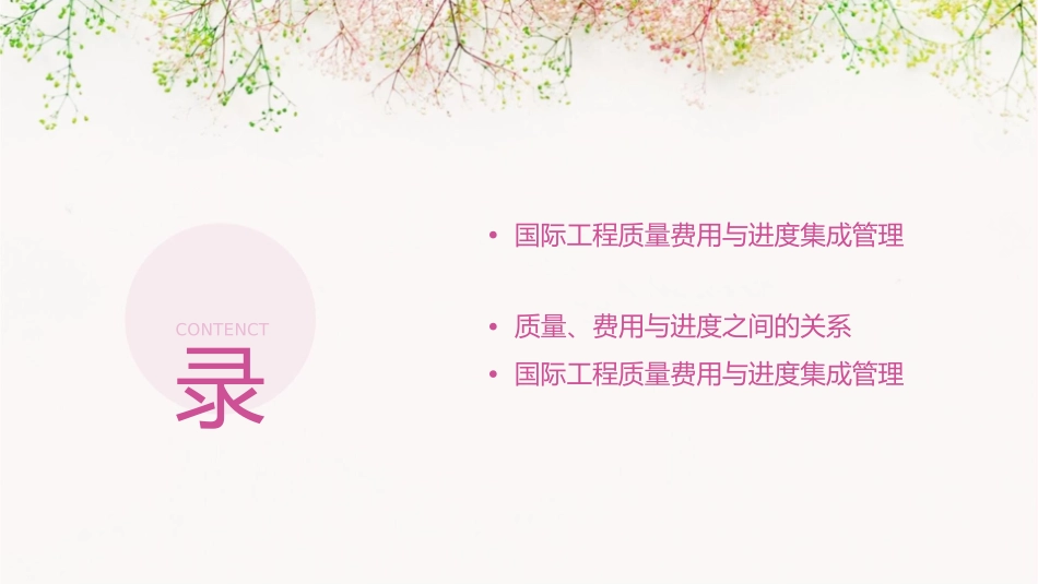 国际工程质量费用与进度集成管理课件_第2页