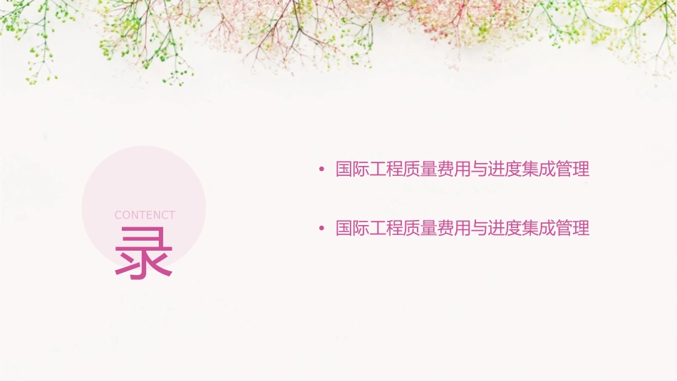 国际工程质量费用与进度集成管理课件_第3页