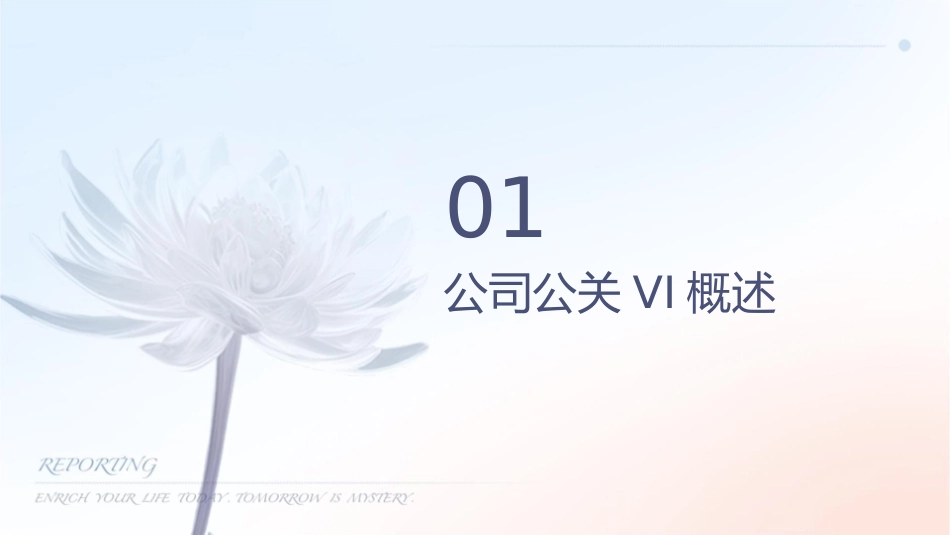 公司公关VI宣传管理办法课件_第3页