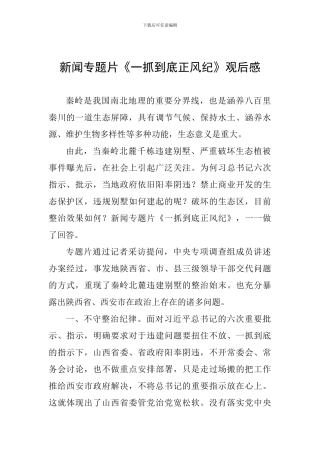 新闻专题片《一抓到底正风纪》观后感