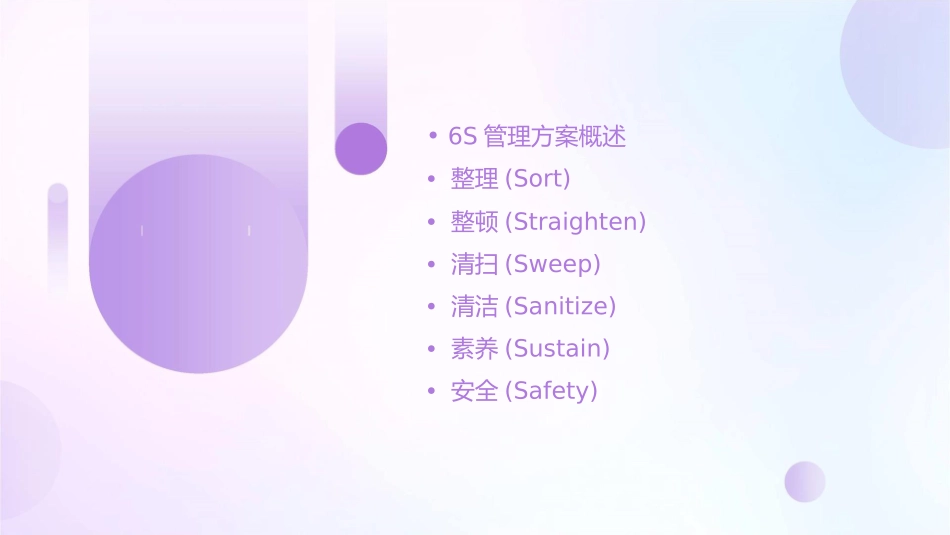 办公室6S管理方案剖析课件_第2页