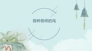 各种各样的鸟课件