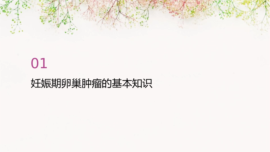 妊娠期卵巢肿瘤诊治专家共识护理课件_第3页