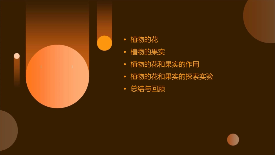 四年级科学上植物的花植物的果实课件_第2页