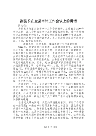 副县长在全县审计工作会议上的讲话发言