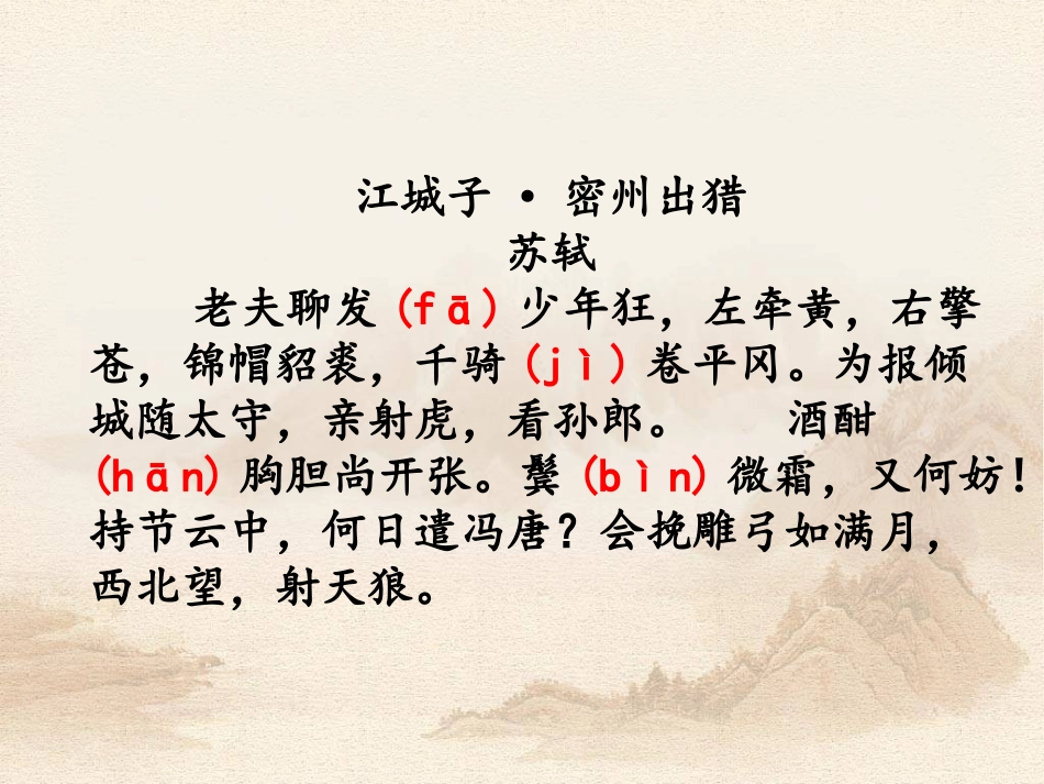 苏子豪情亦婉转_第3页