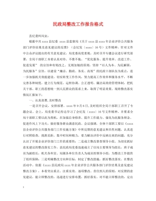 民政局整改工作报告格式 